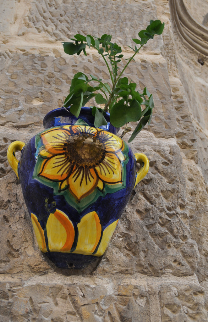 Ceramic Plant Pot product photo