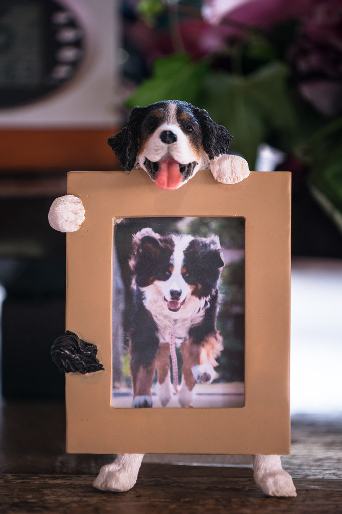 Decorative Photo Frame product photo