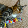 Interactive Cat Toy product photo
