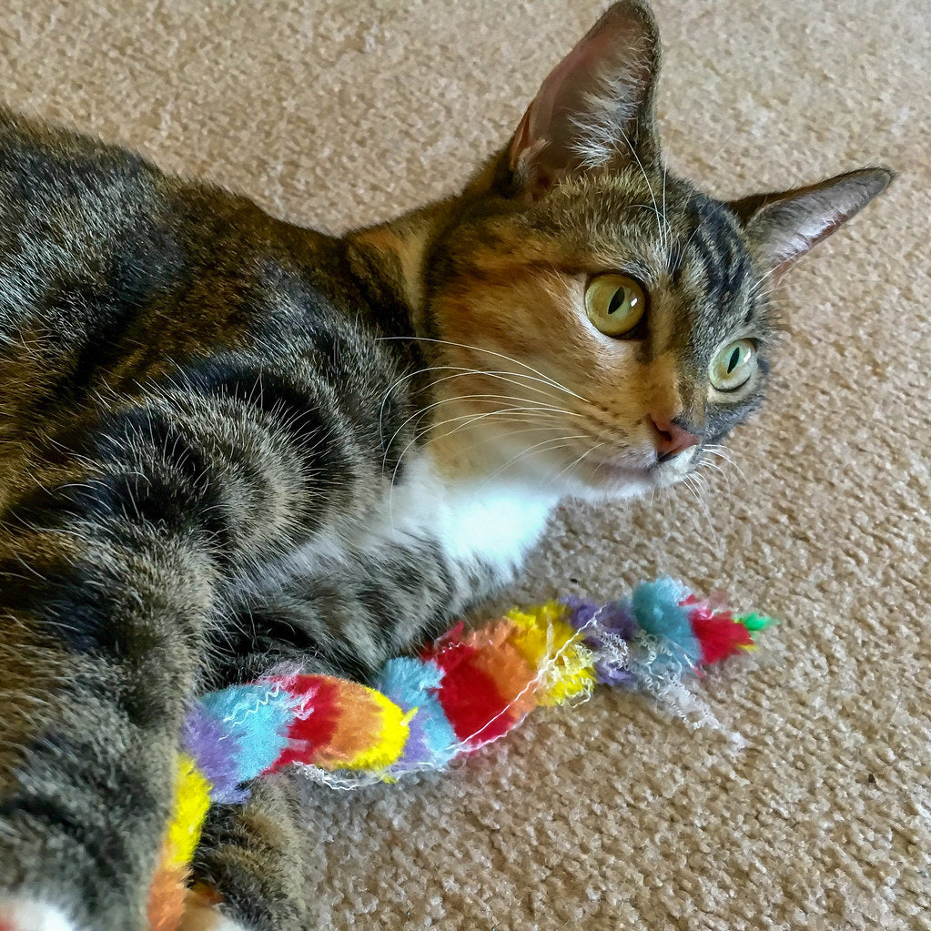 Interactive Cat Toy product photo
