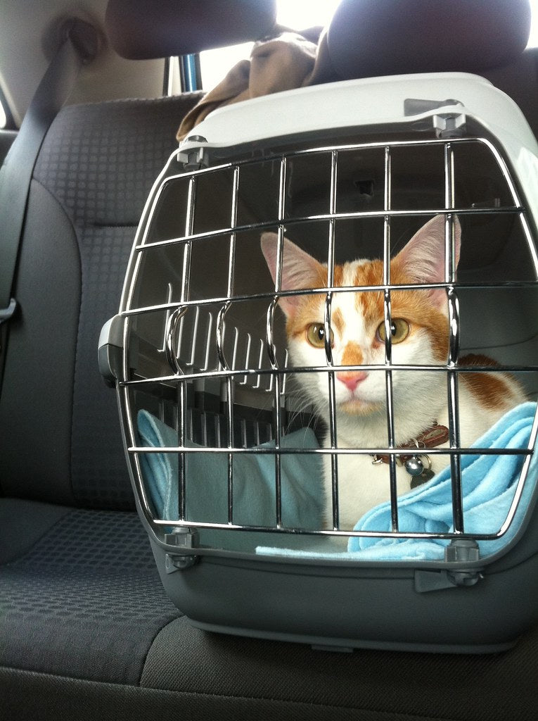 Pet Travel Carrier product photo